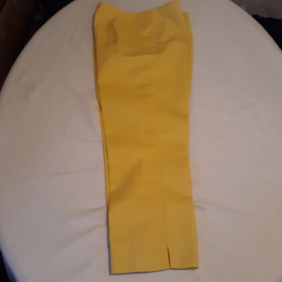 Investments Women's Size 8 Cropped Capris Pants - Picture 2 of 7